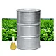 Jasmine Oil